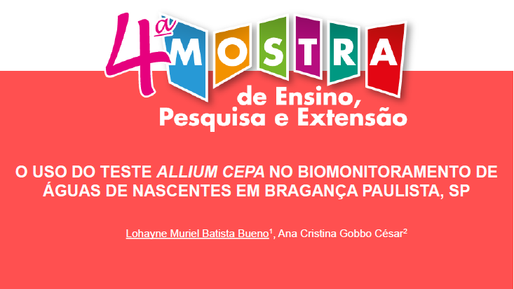 image-1604938633082.png