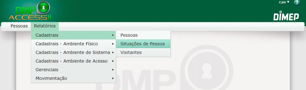 dimep_relatorioSituacao.png